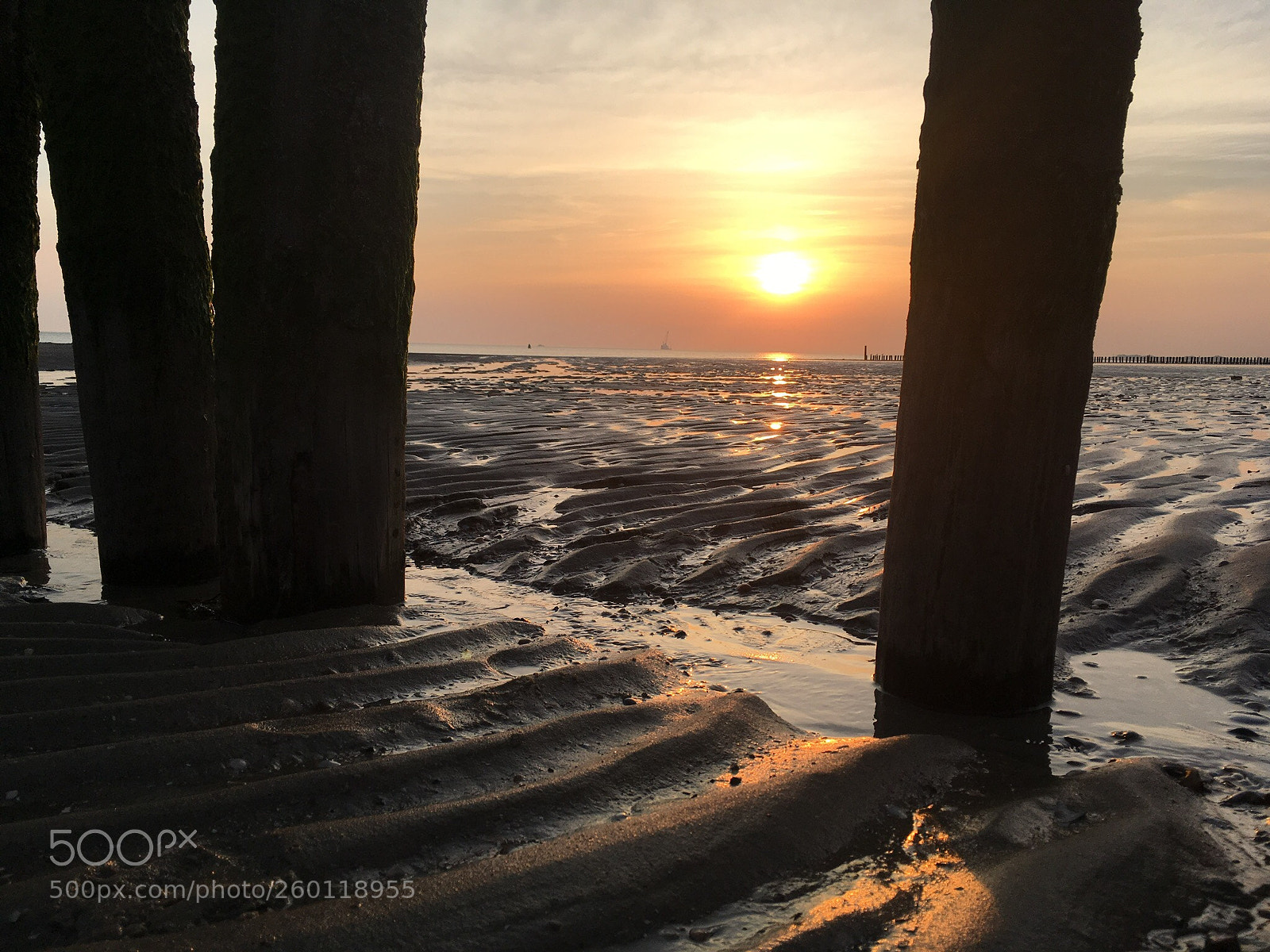 Apple iPhone SE sample photo. Breakwater photography