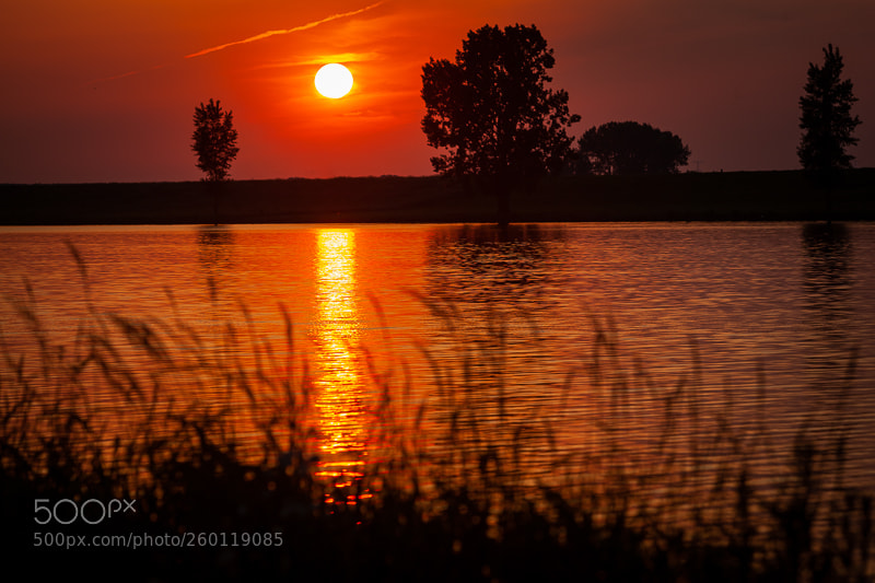 Canon EOS 5D Mark II sample photo. Sunset over the river 2 photography