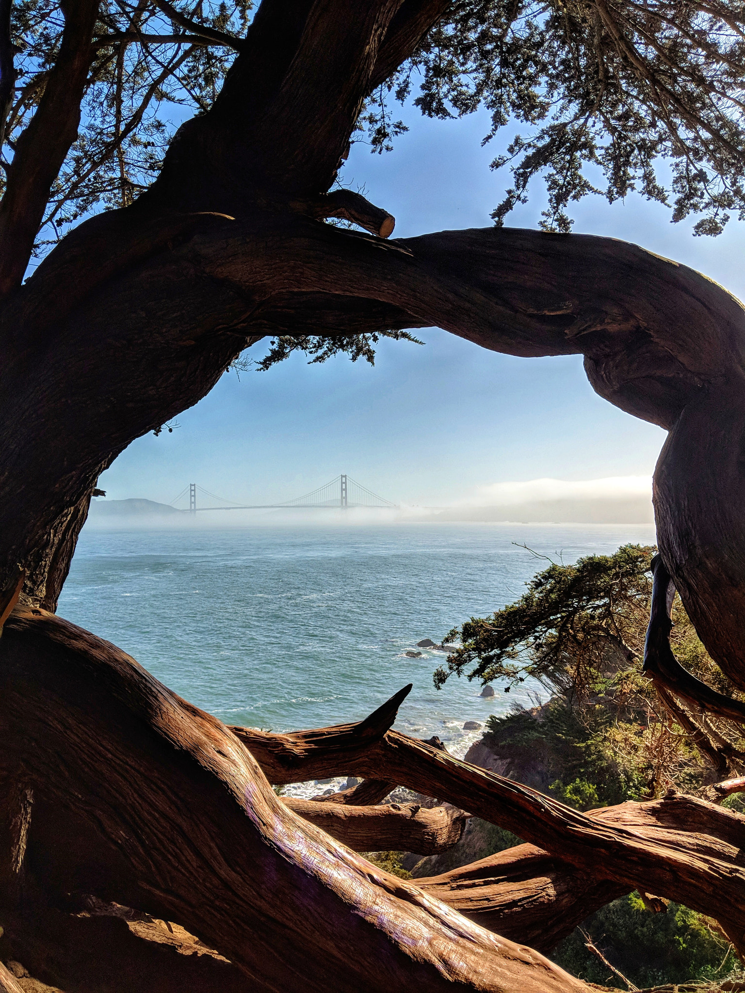 Google Pixel 2 XL sample photo. Golden gate bridge photography