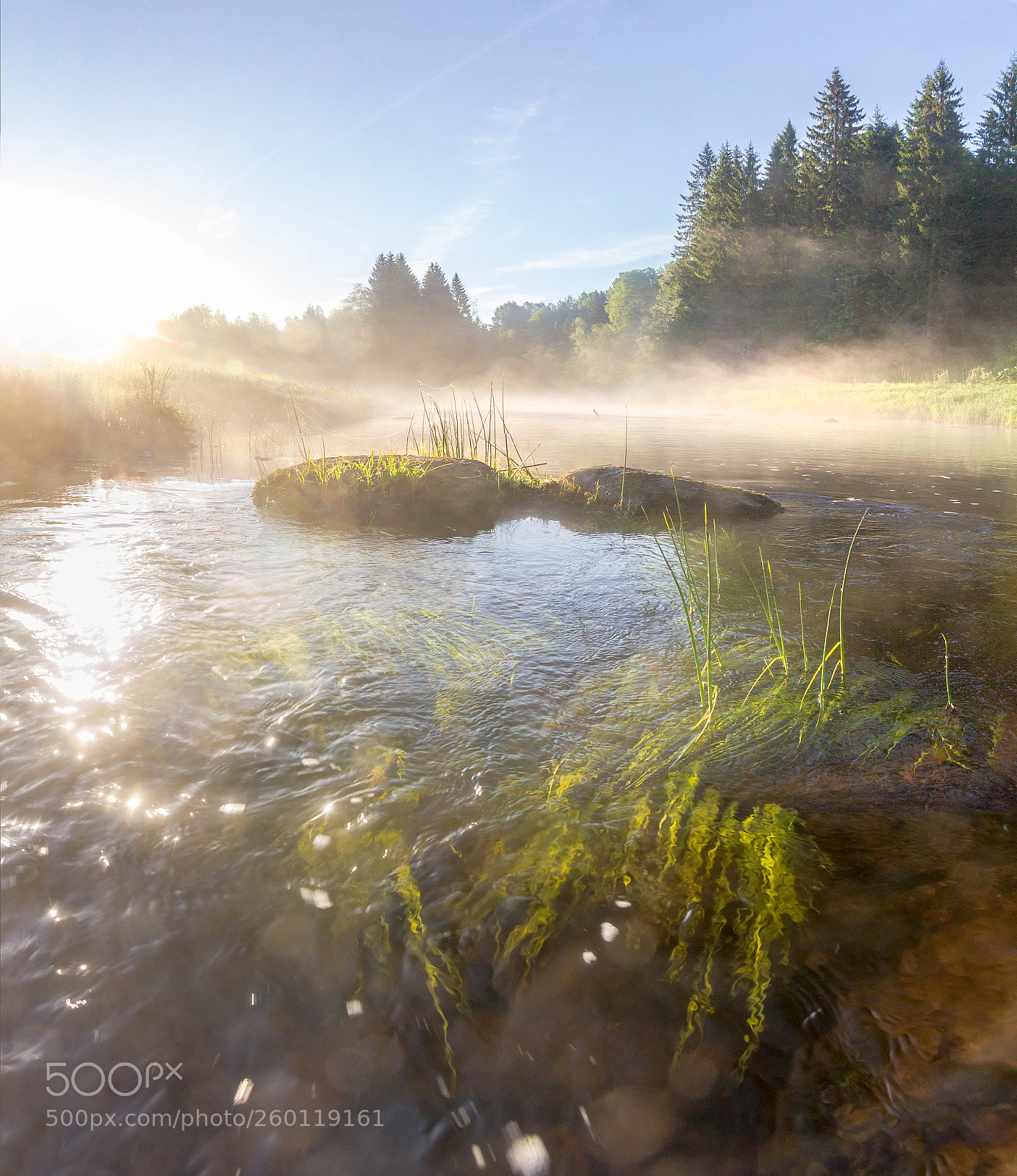 Canon EOS 60D sample photo. Misty morning photography