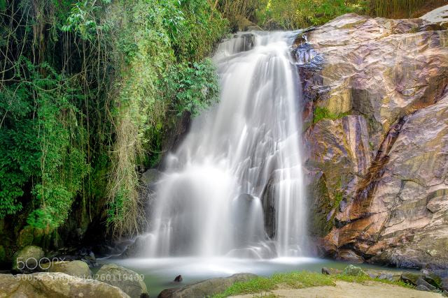 Nikon D5300 sample photo. Mantiqueira photography