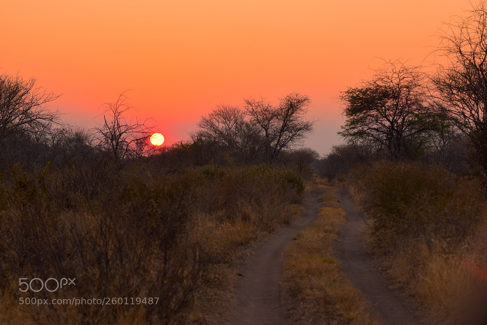 Nikon D3300 sample photo. Sunrise lighting the roads photography