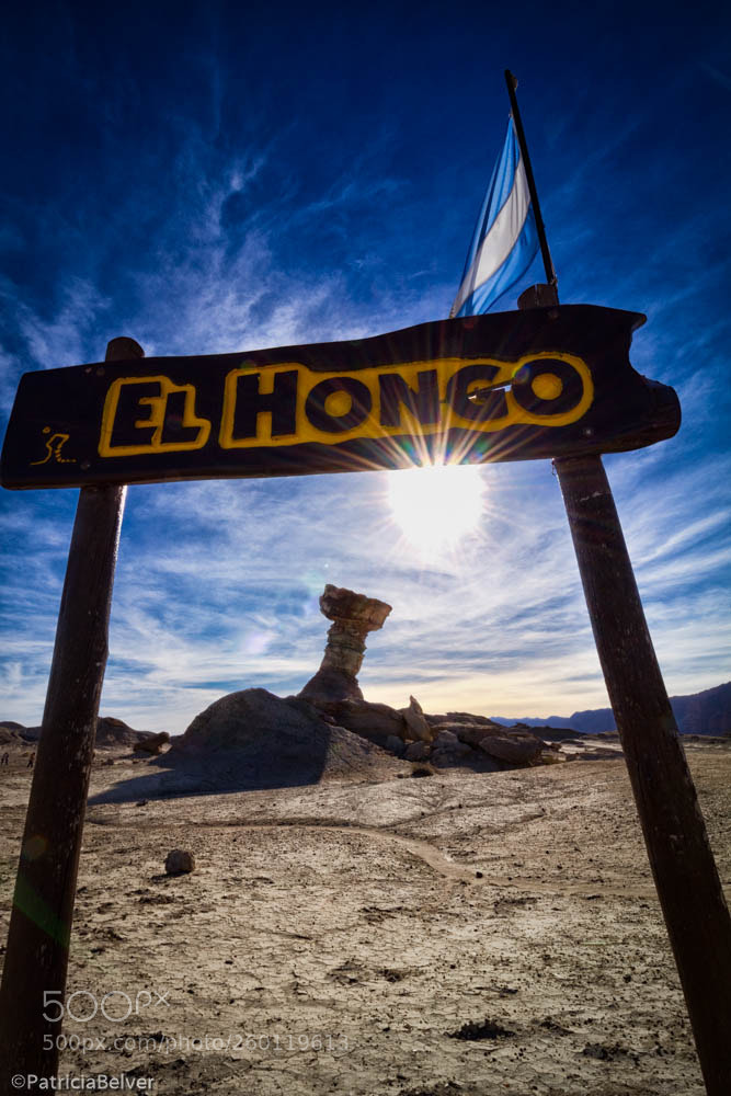 Canon EOS 7D sample photo. El hongo photography