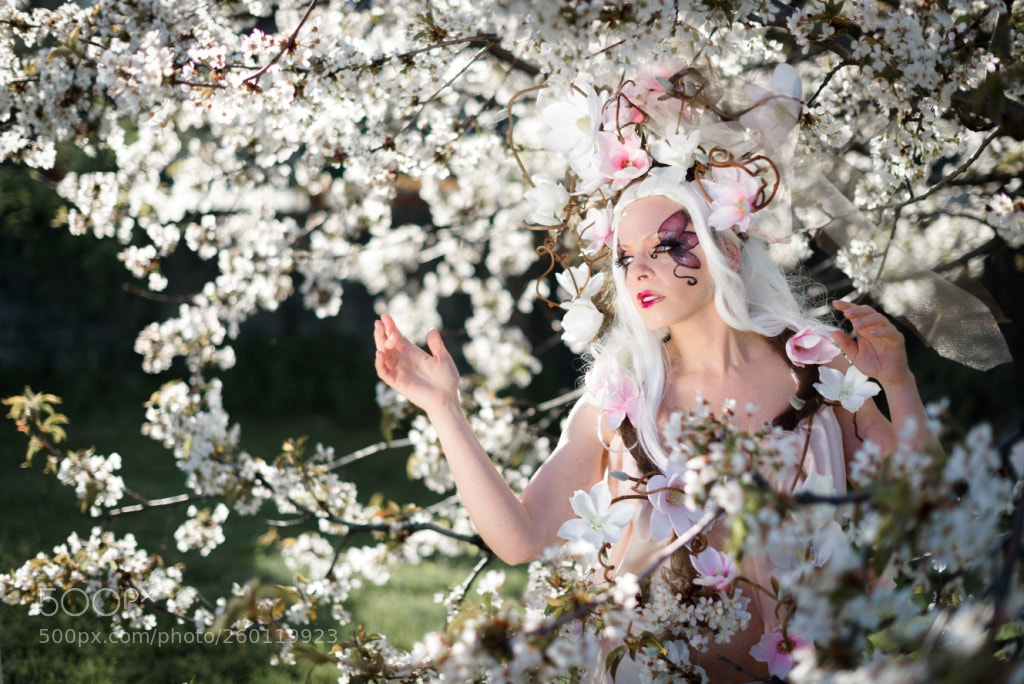 Nikon D750 sample photo. Teatronatura "ethereal solstice flowers" photography