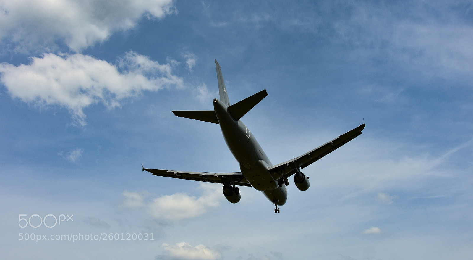 Nikon D7200 sample photo. Untitled photography
