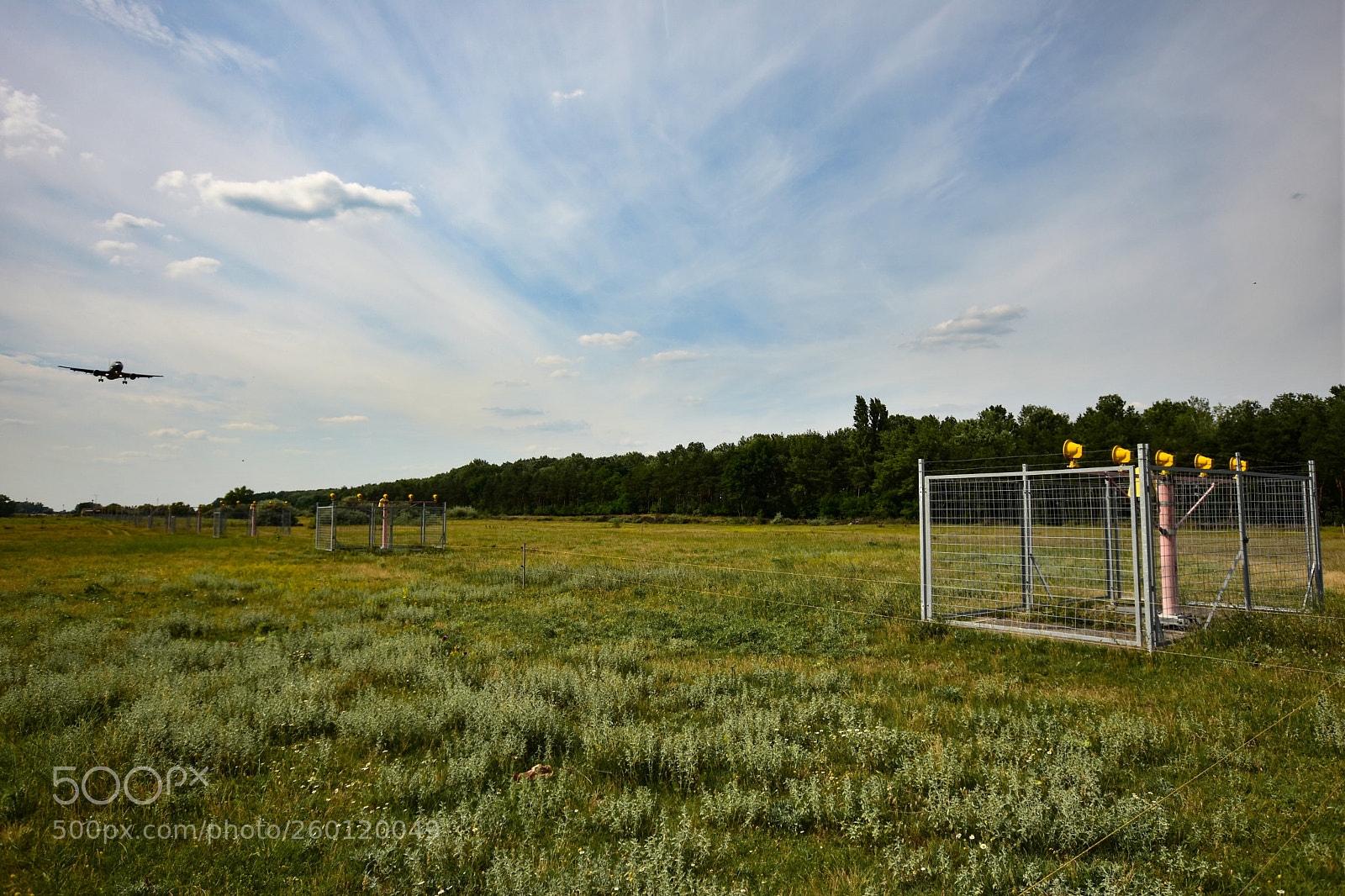 Nikon D7200 sample photo. Untitled photography