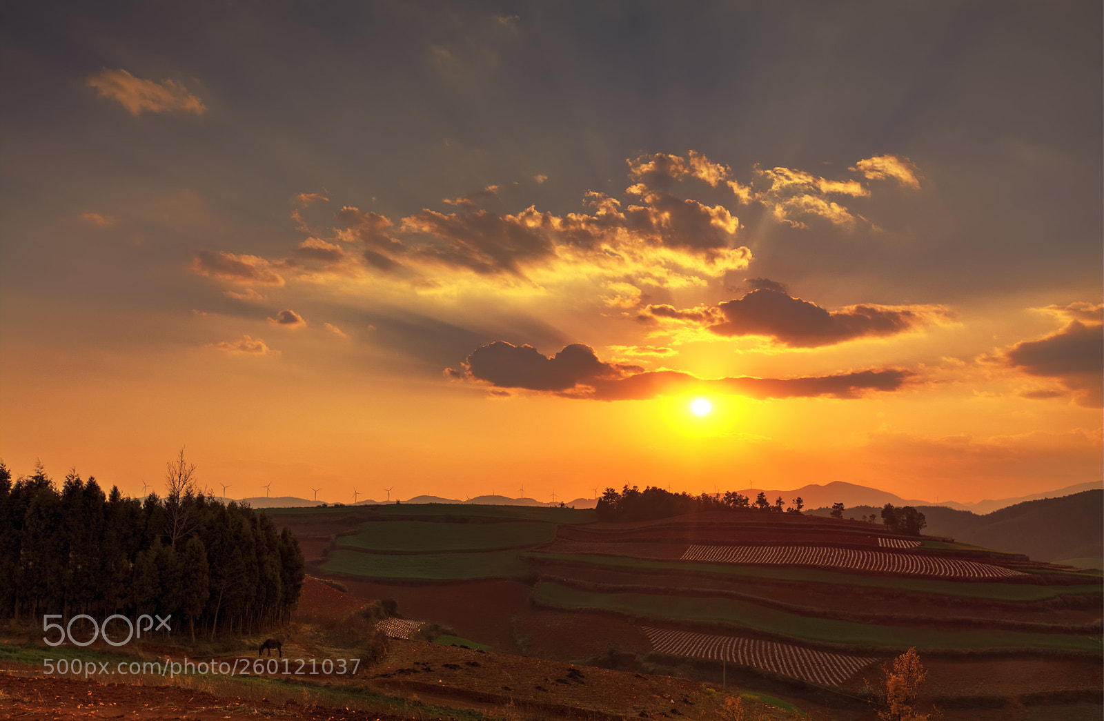 Canon EOS 5DS sample photo. Sunset over redsoil highland. photography