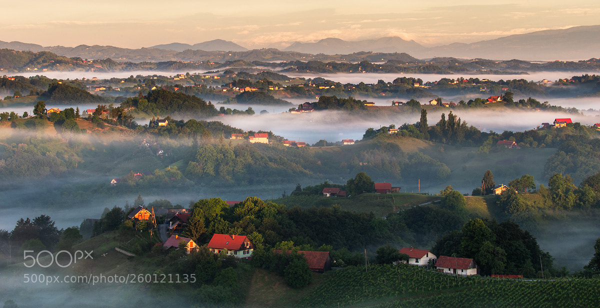 Canon EOS 6D sample photo. Morning at haloze region photography
