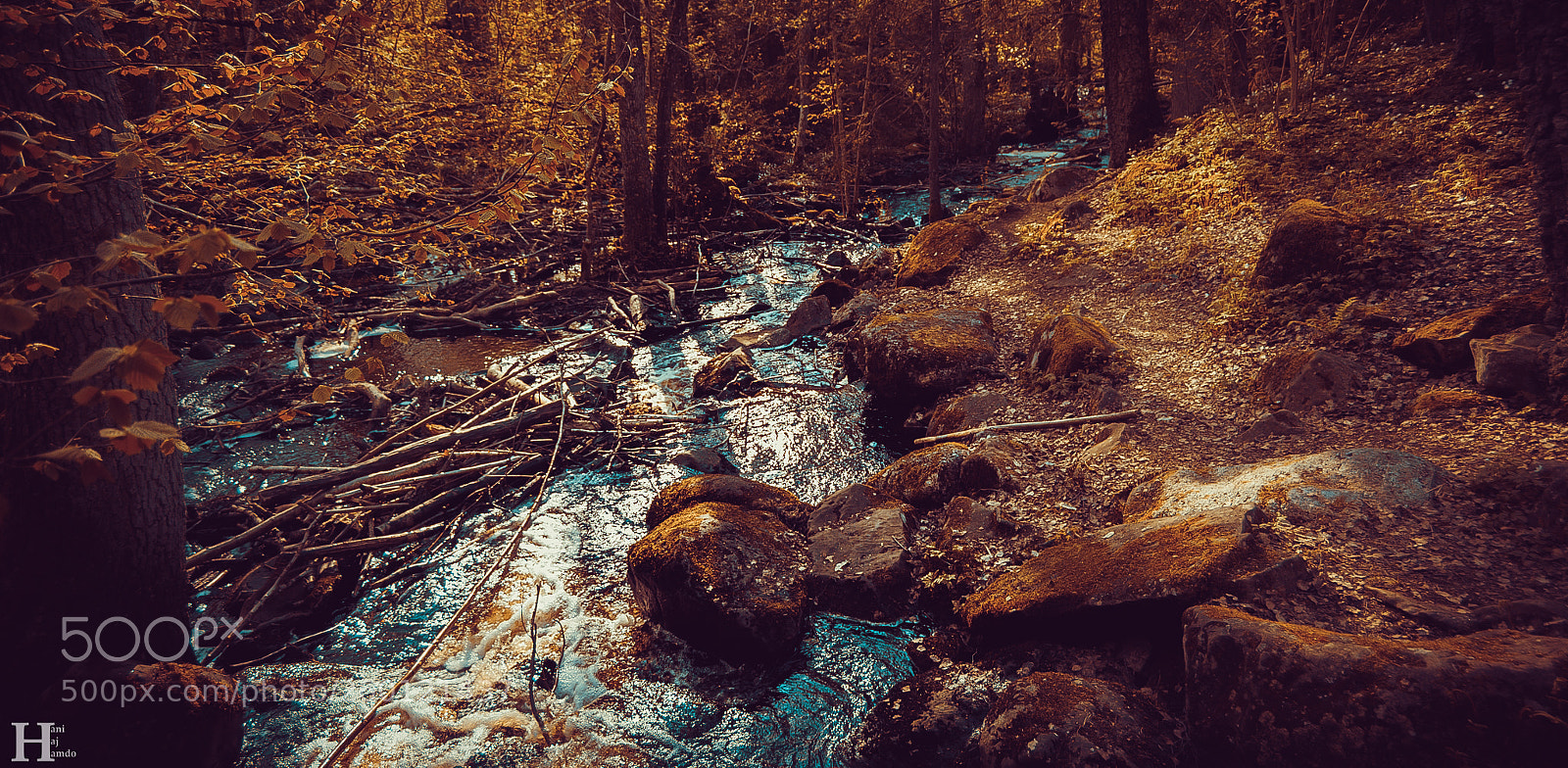 Nikon D3100 sample photo. River of vargön photography