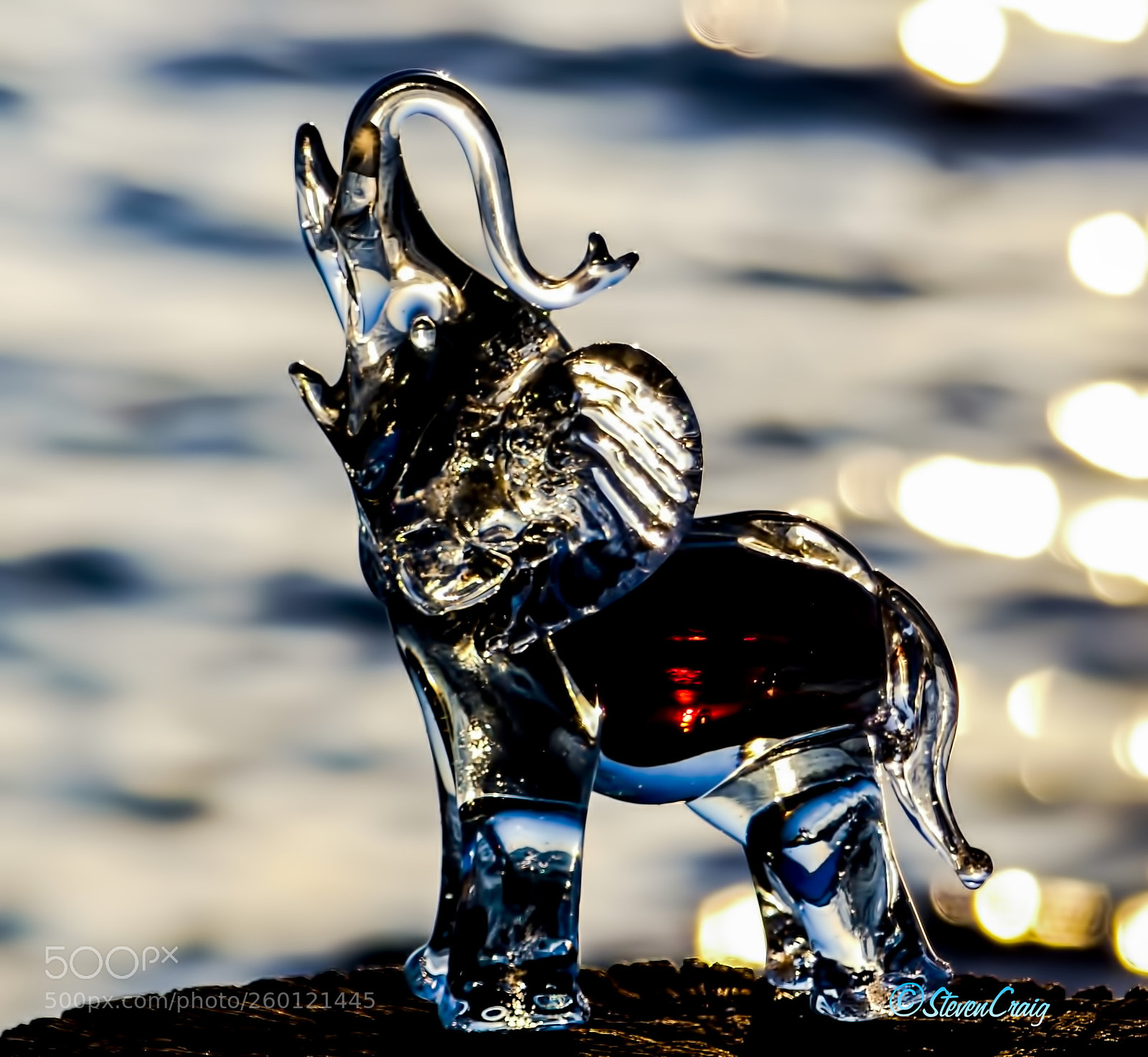 Panasonic Lumix DMC-FZ300 sample photo. Crystal_beach_elephant photography