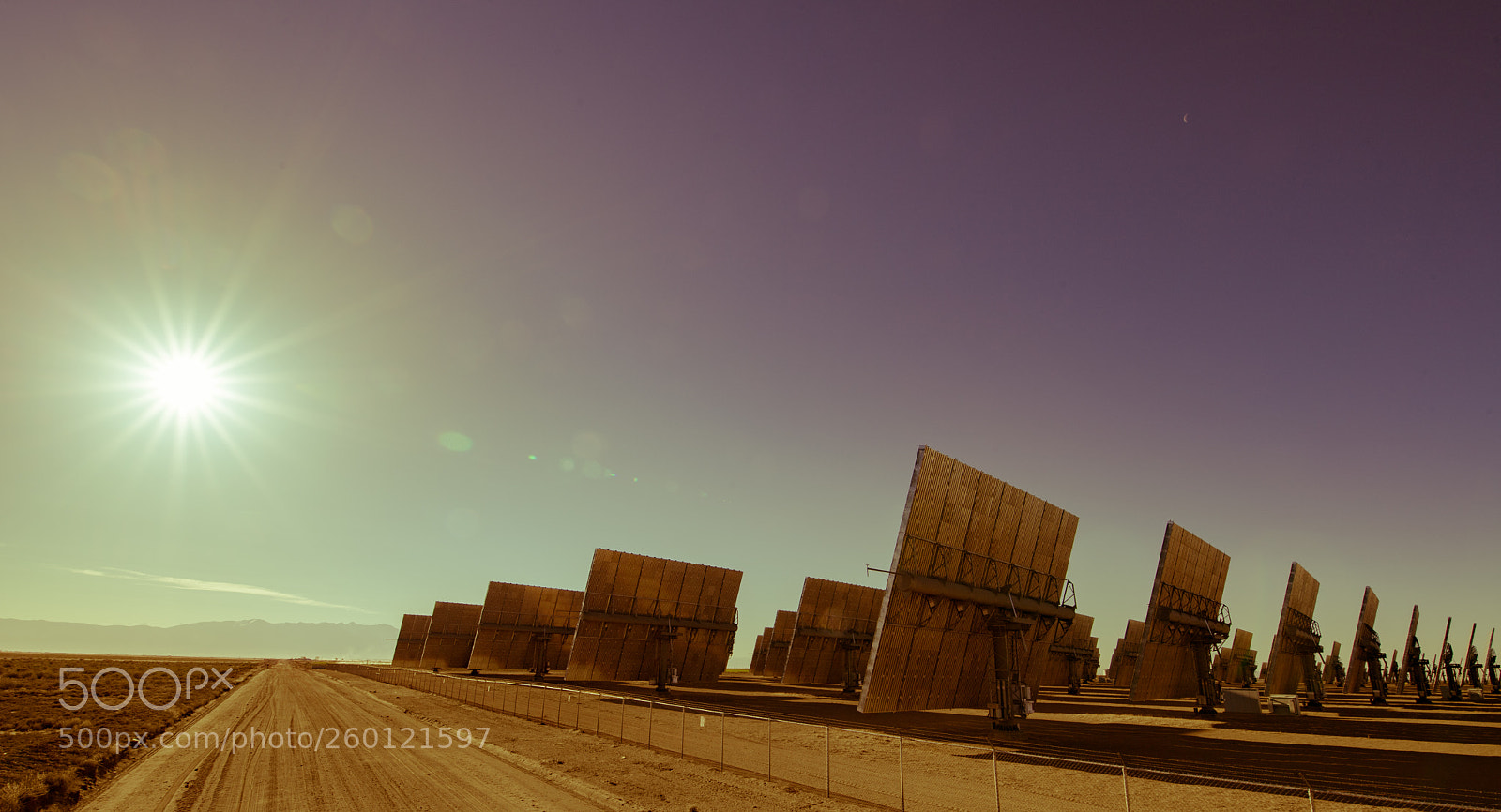 Nikon D5 sample photo. Sun farmer photography