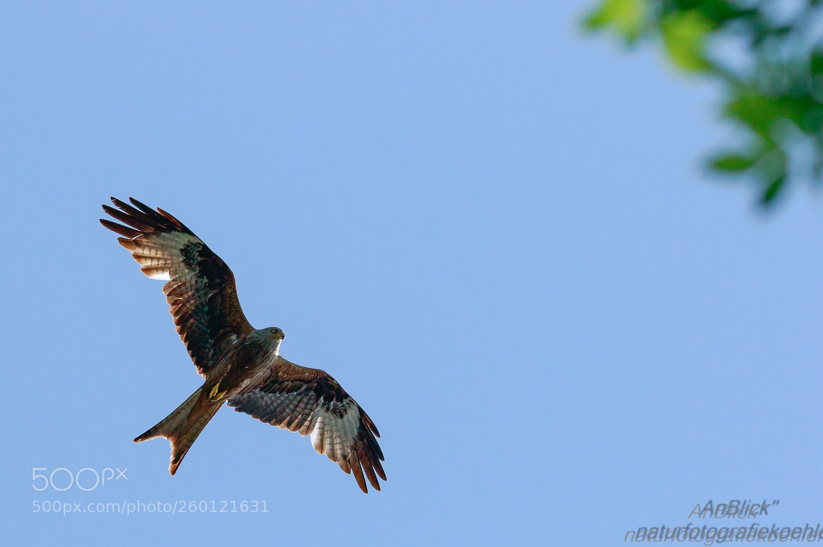 Canon EOS 7D Mark II sample photo. In letzter sekunde photography
