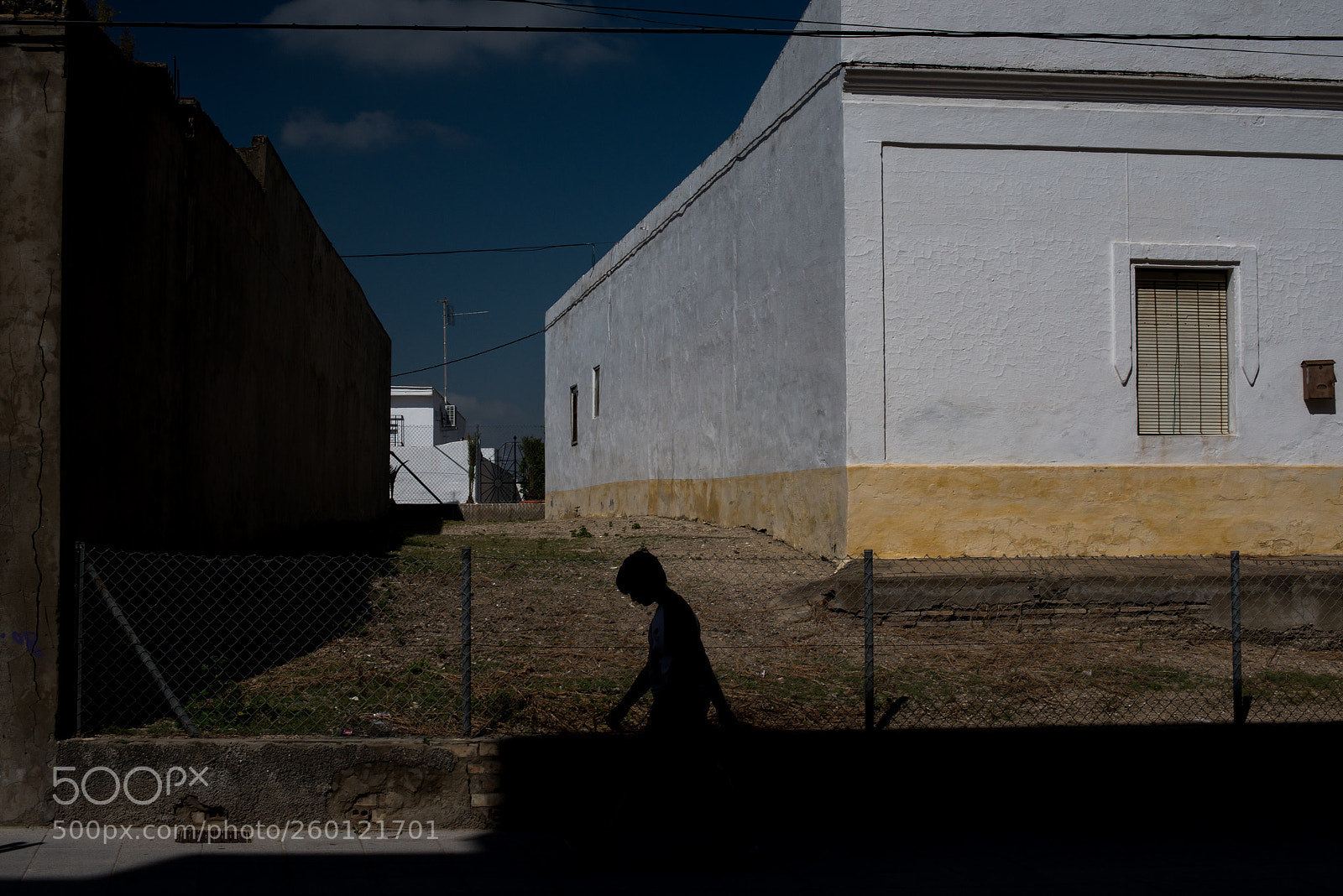 Nikon D610 sample photo. ) photography