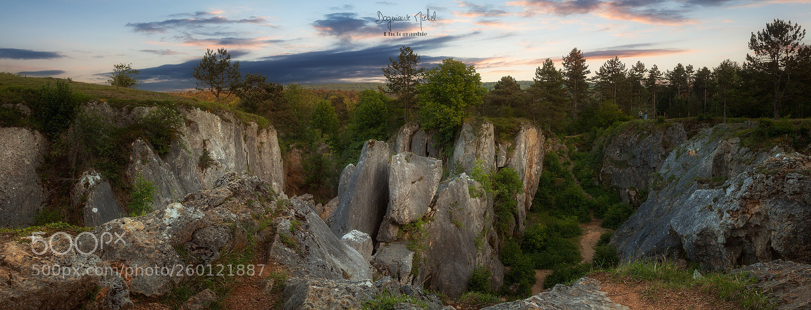 Canon EOS 5D Mark II sample photo. Fondry des chiens photography