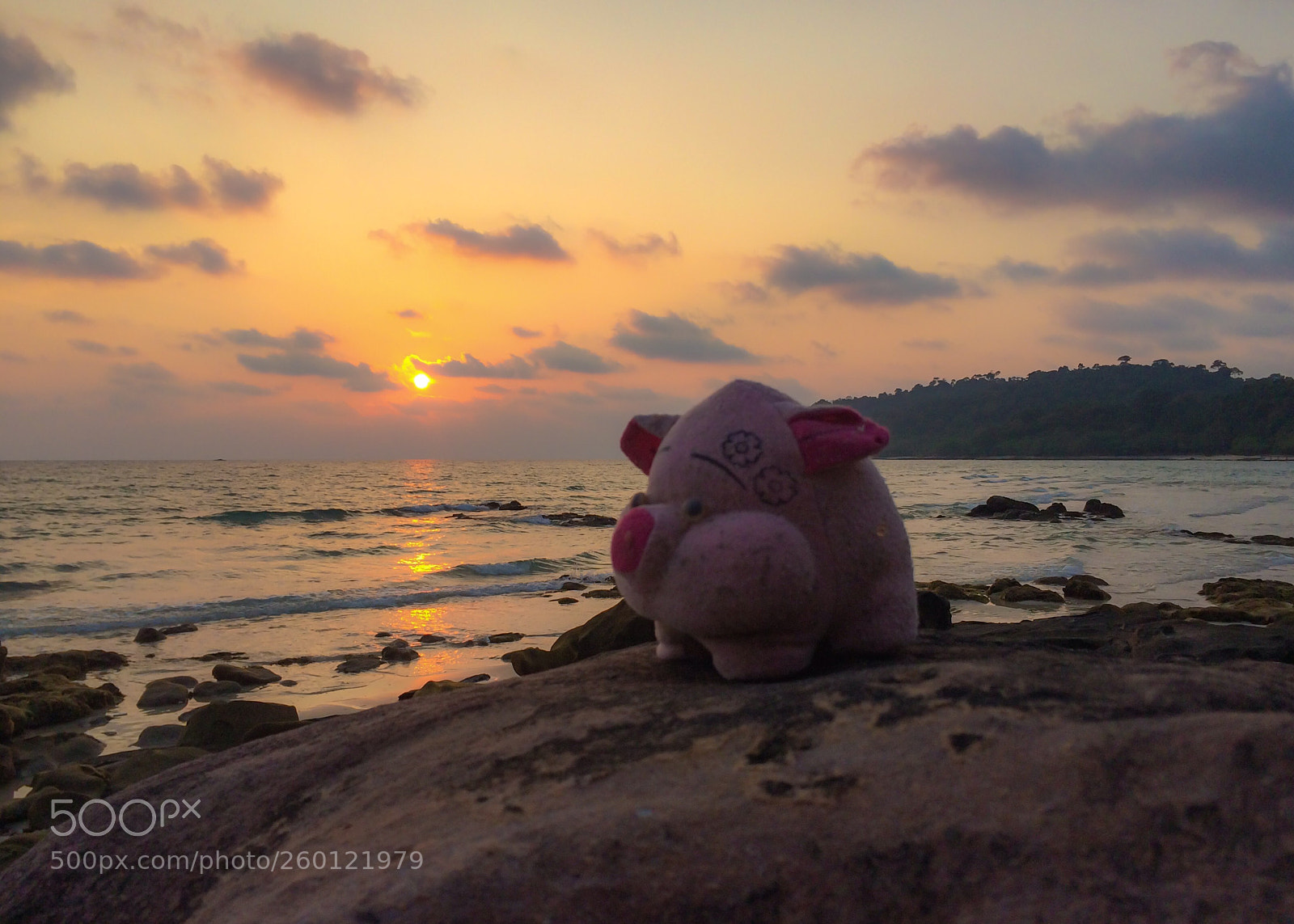 Apple iPhone 5s sample photo. Pig on the beach photography