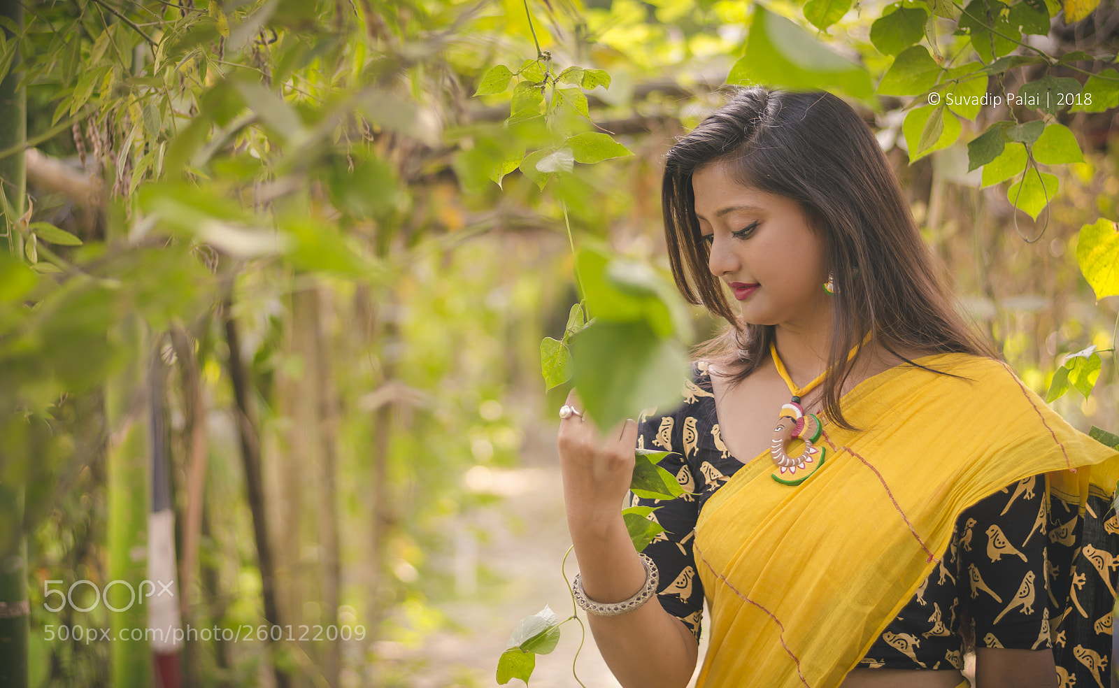 Nikon D7000 sample photo. Surita photography