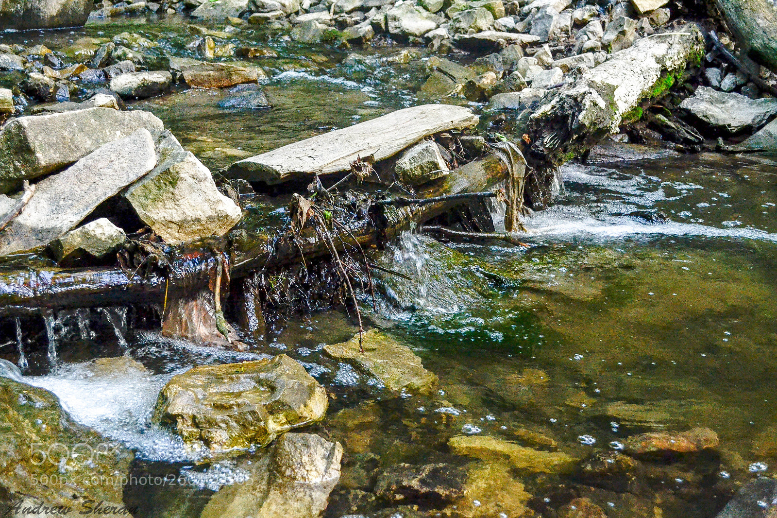 Nikon D3100 sample photo. My choice photography