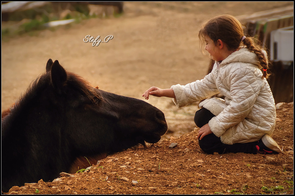 Sony DT 18-200mm F3.5-6.3 sample photo. Trust photography