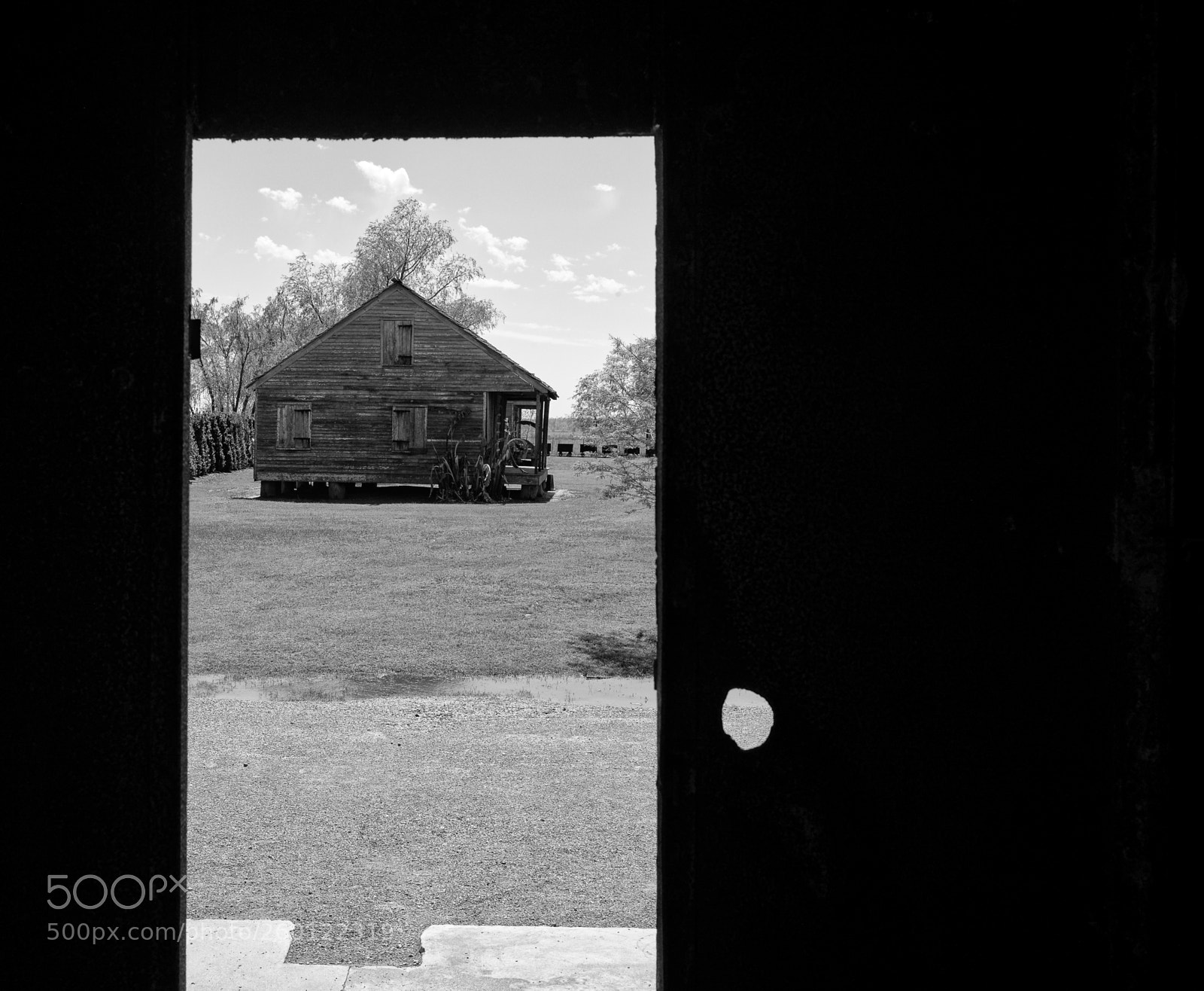 Leica M (Typ 240) sample photo. Lopenwithbw o photography