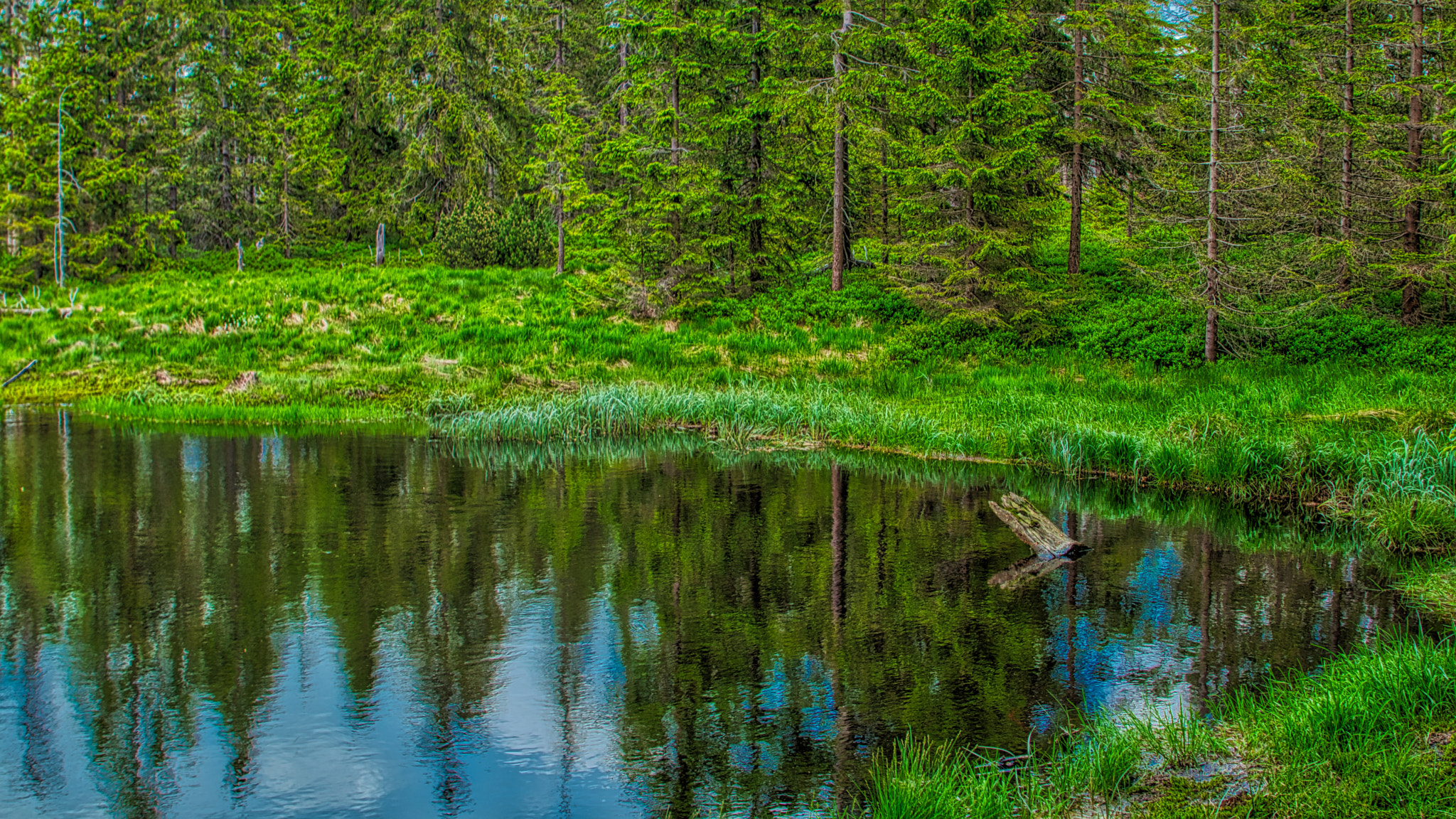 Canon EF 24-105mm F4L IS II USM sample photo. Natx464 photography