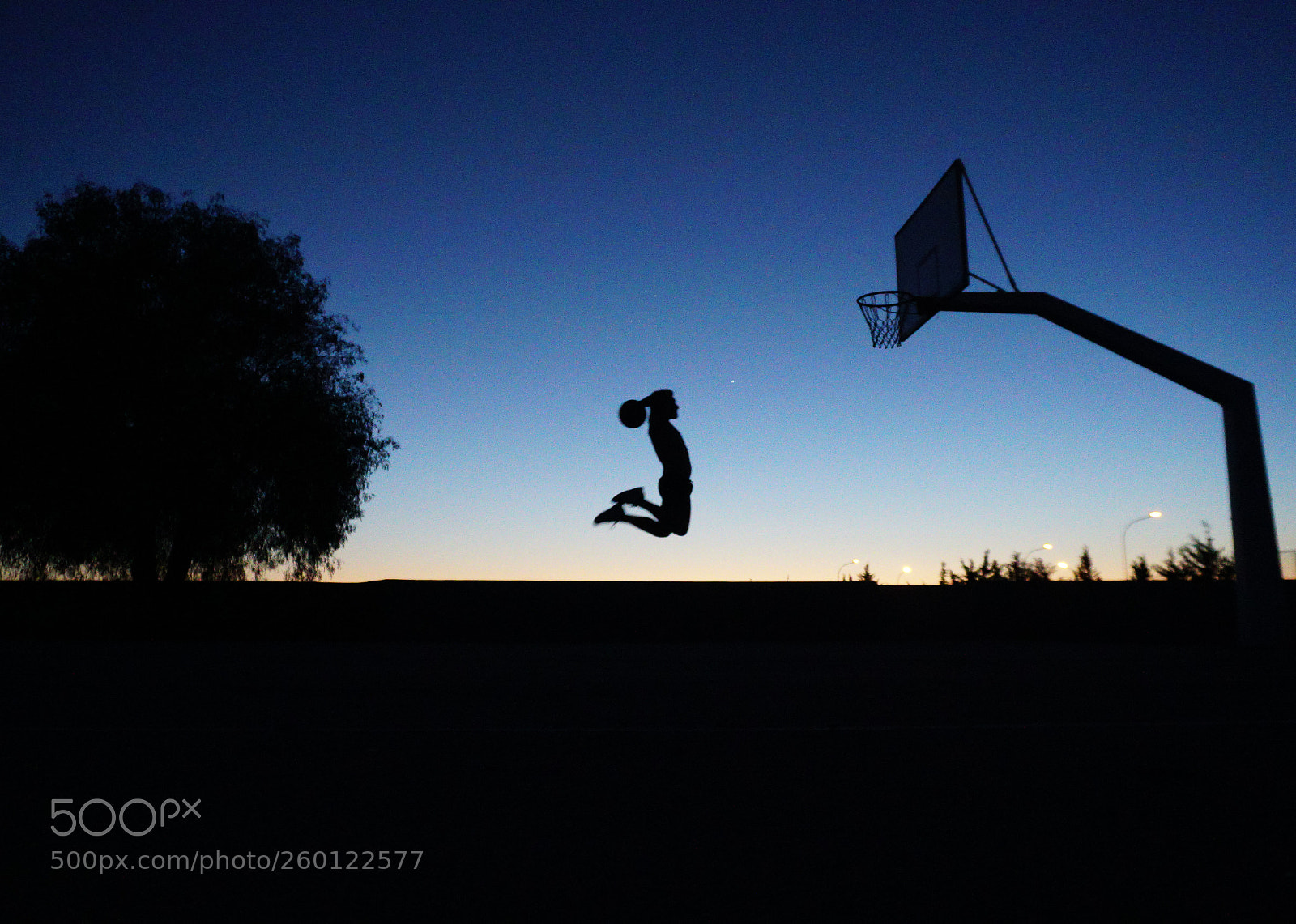 Sony a6300 sample photo. Fly photography