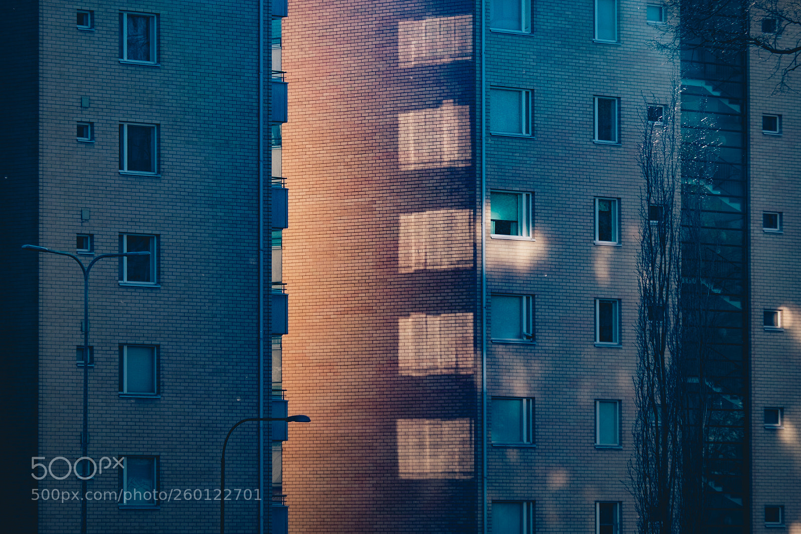 Fujifilm X-T1 sample photo. Light leak photography
