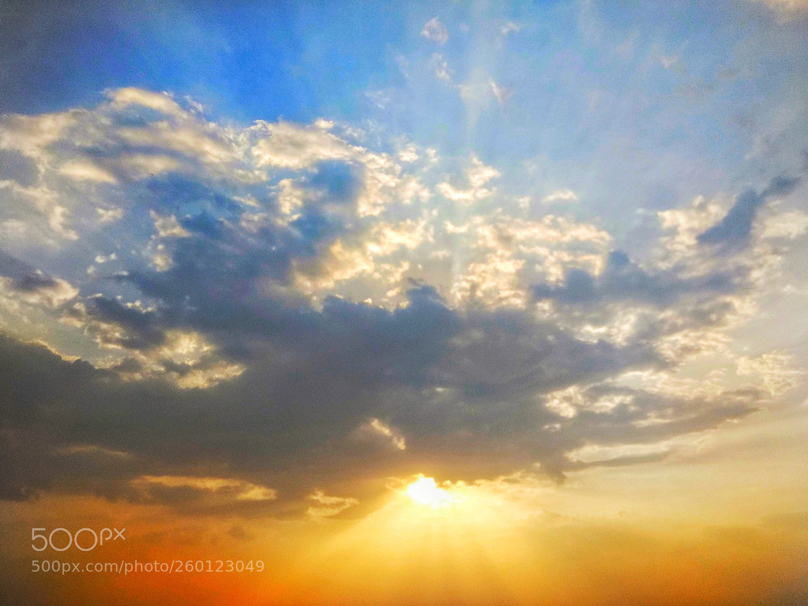 Xiaomi Mi A1 sample photo. Untitled photography