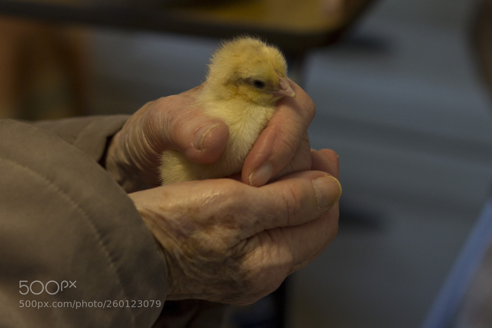Canon EOS 60D sample photo. Easter surprise photography