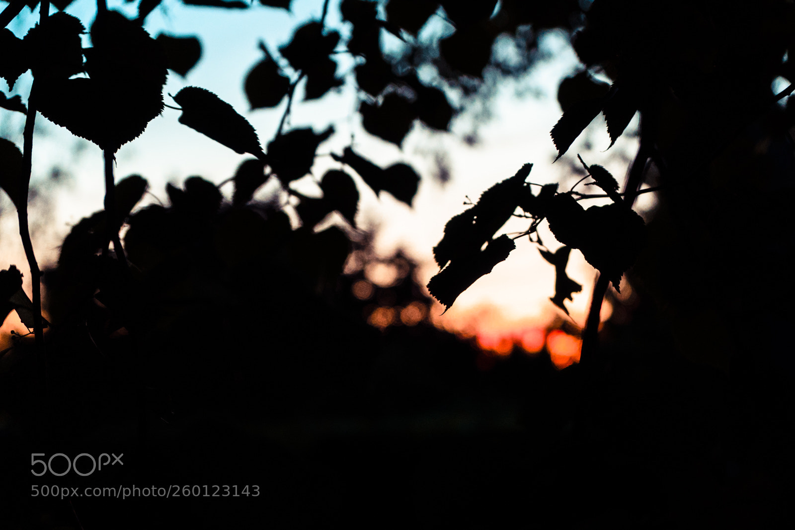 Sony a7 III sample photo. Sunset shapes photography
