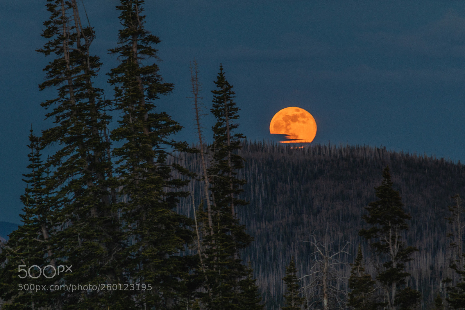 Canon EOS 80D sample photo. Flower moon rising photography