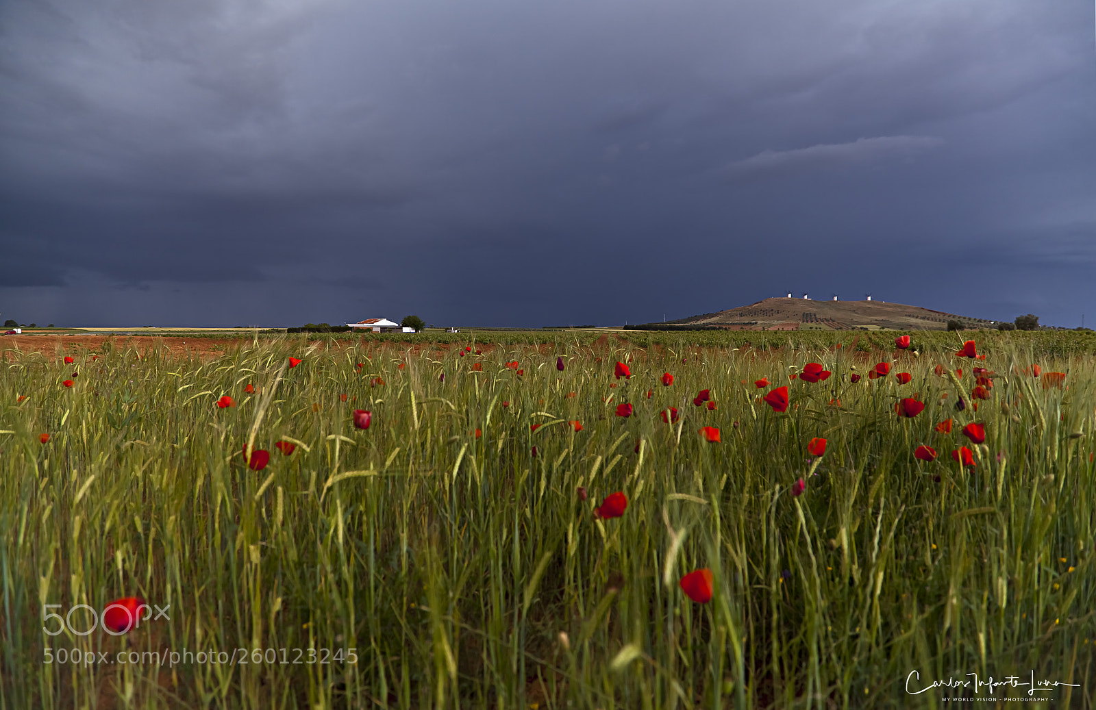 Canon EOS 5D Mark II sample photo. Skies, poppies, houses and photography