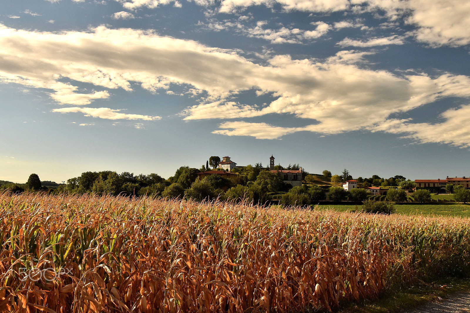 Nikon D5500 sample photo. Late summer sky photography