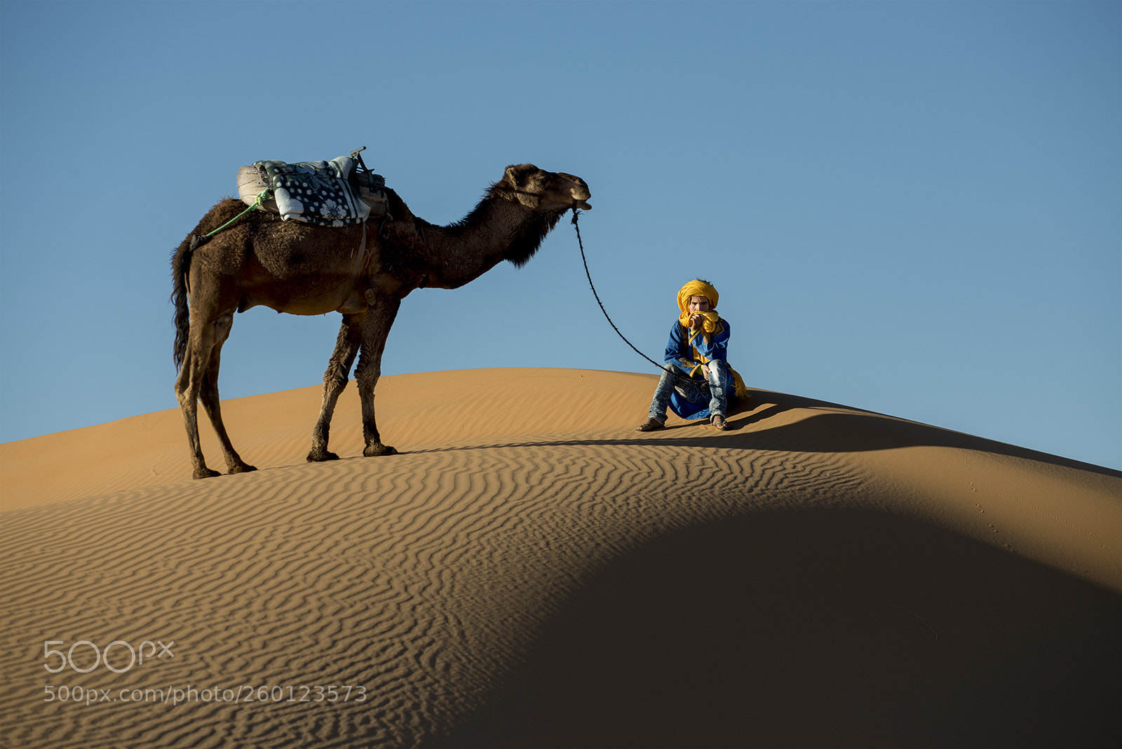 Nikon D600 sample photo. Sahara desert photography