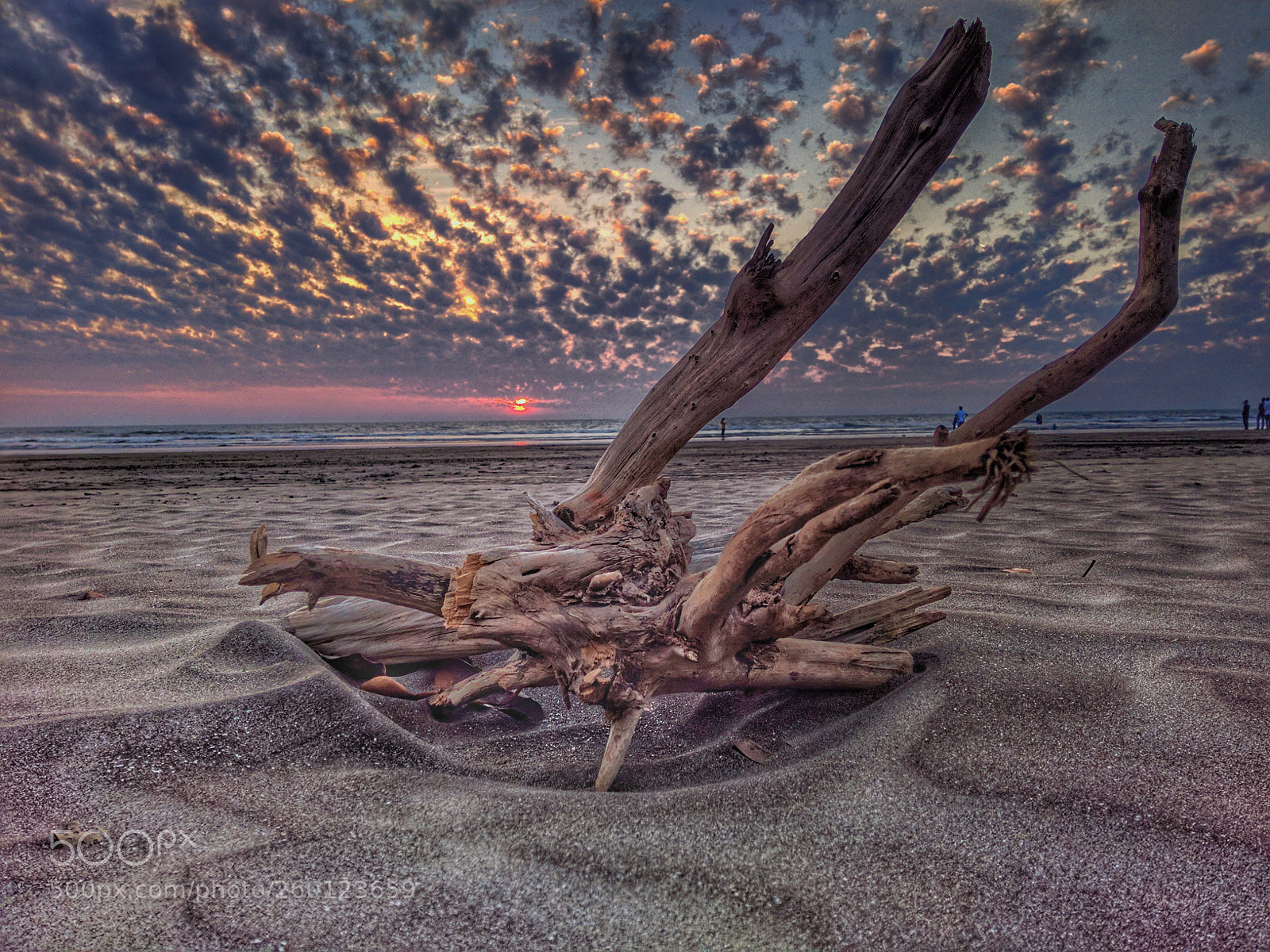 LG Nexus 5X sample photo. Wooden sunset photography