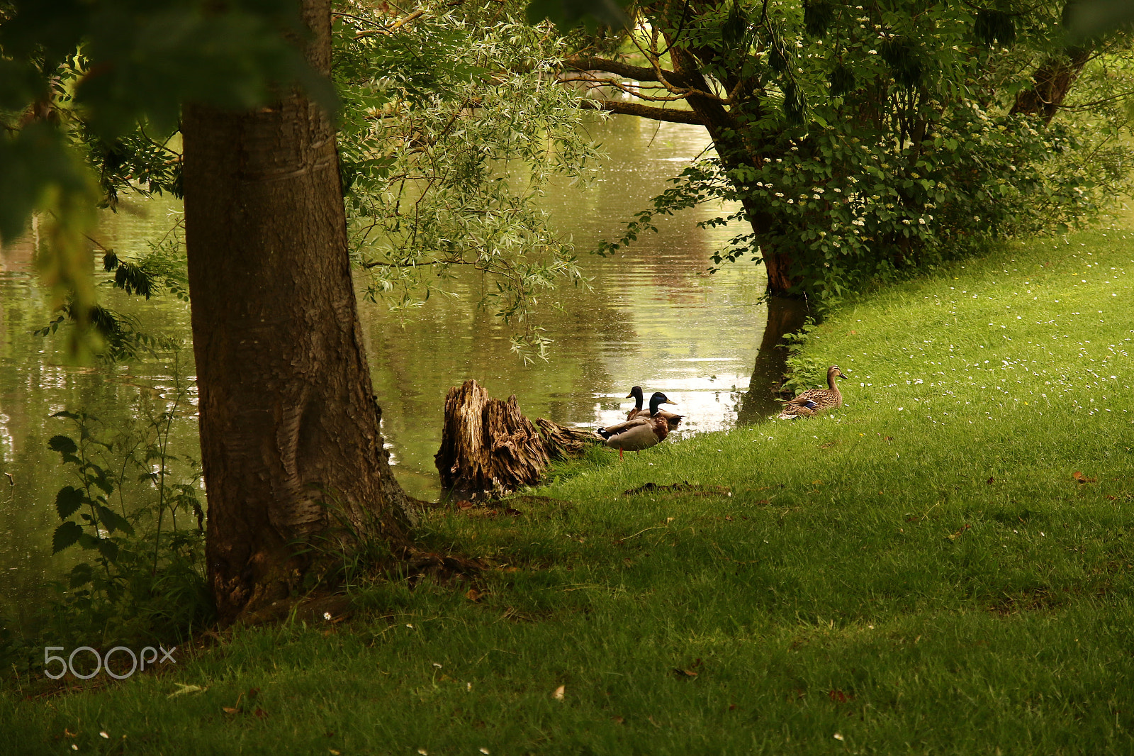 Canon EOS 70D sample photo. Un dimanche au bord de l'eau photography