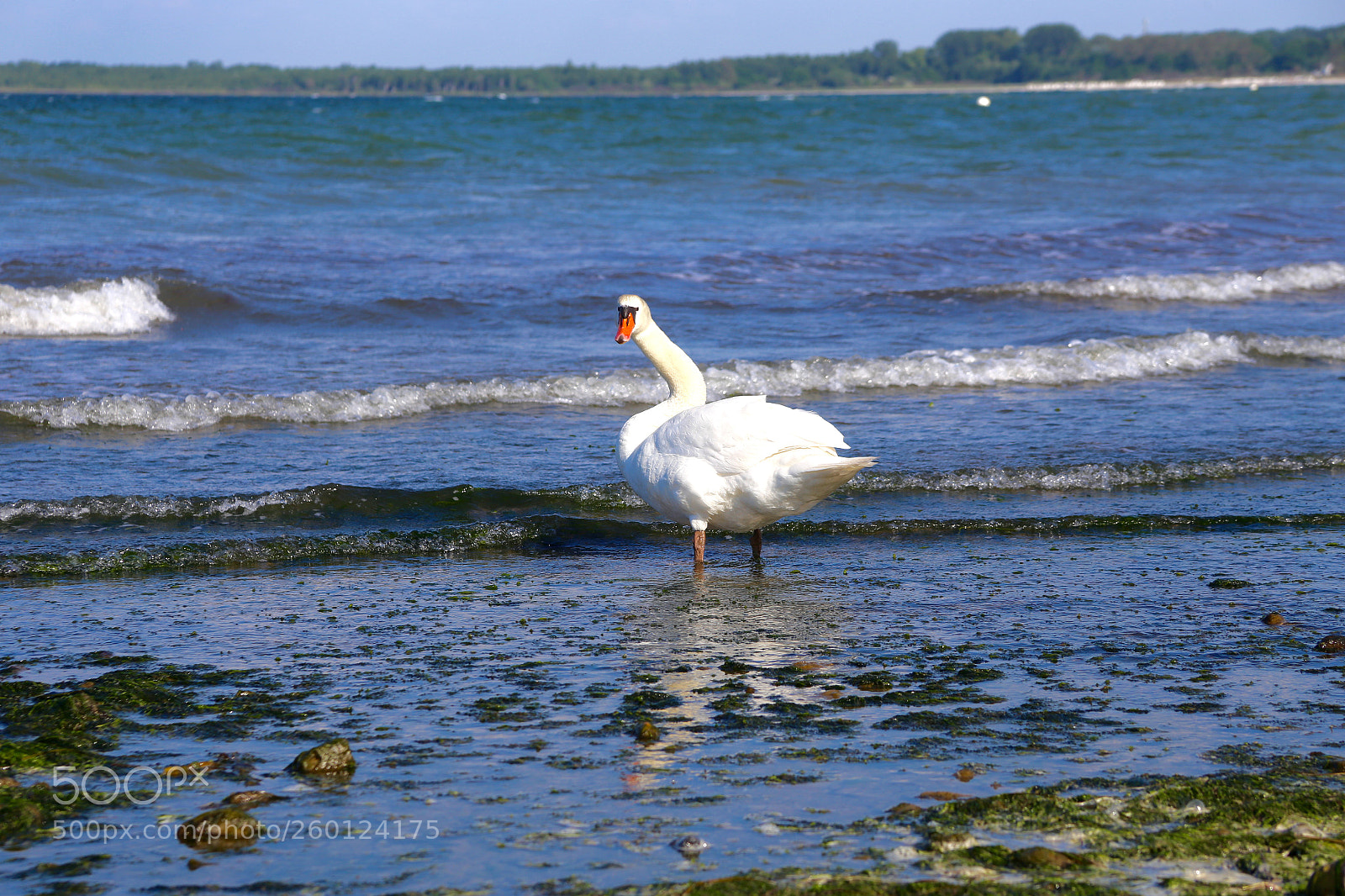 Canon EOS 6D sample photo. Ostseebad boltenhagen photography
