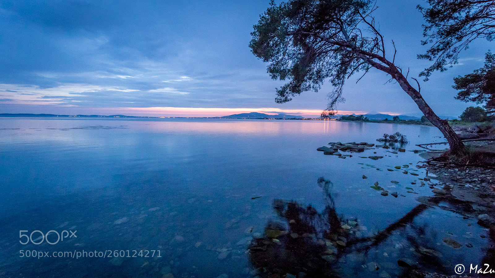 Canon EOS 6D sample photo. Tree by the beach photography