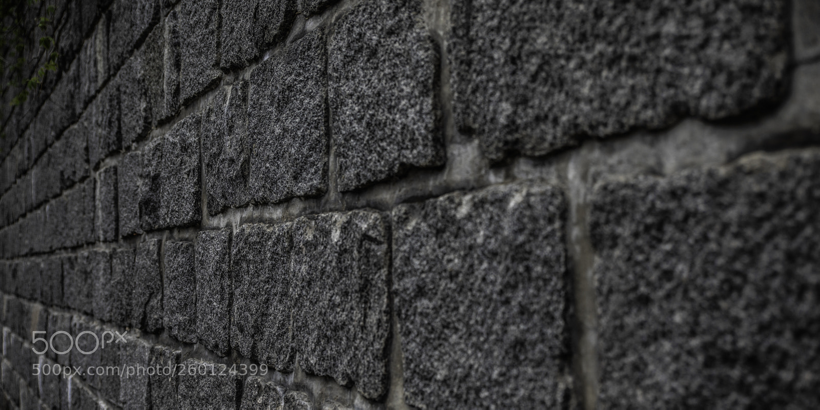 Canon EOS 5D Mark IV sample photo. The wall photography