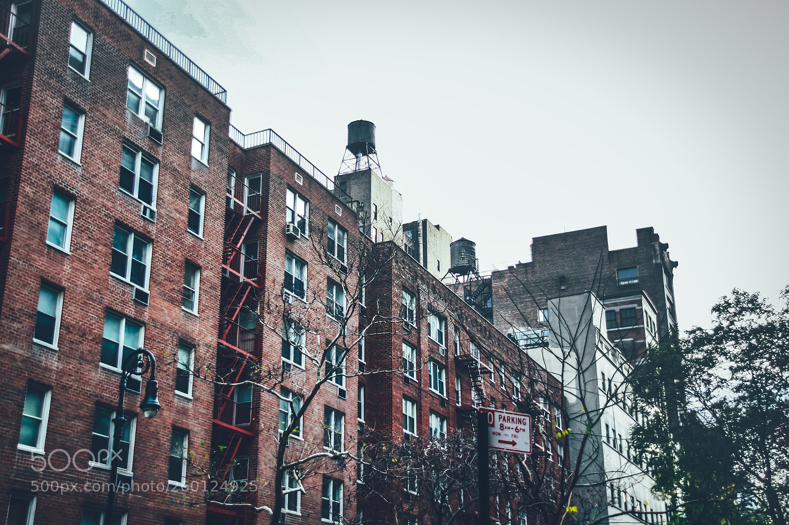 Canon EOS 50D sample photo. New york city 2009 photography