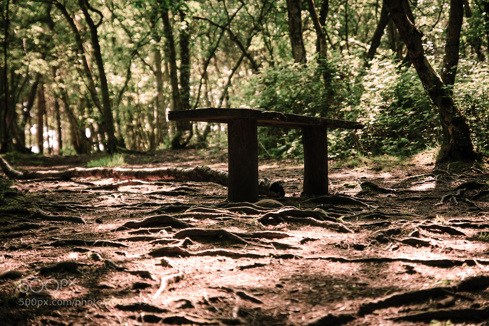 Canon EOS 650D (EOS Rebel T4i / EOS Kiss X6i) sample photo. The chosen seat (149/365) photography