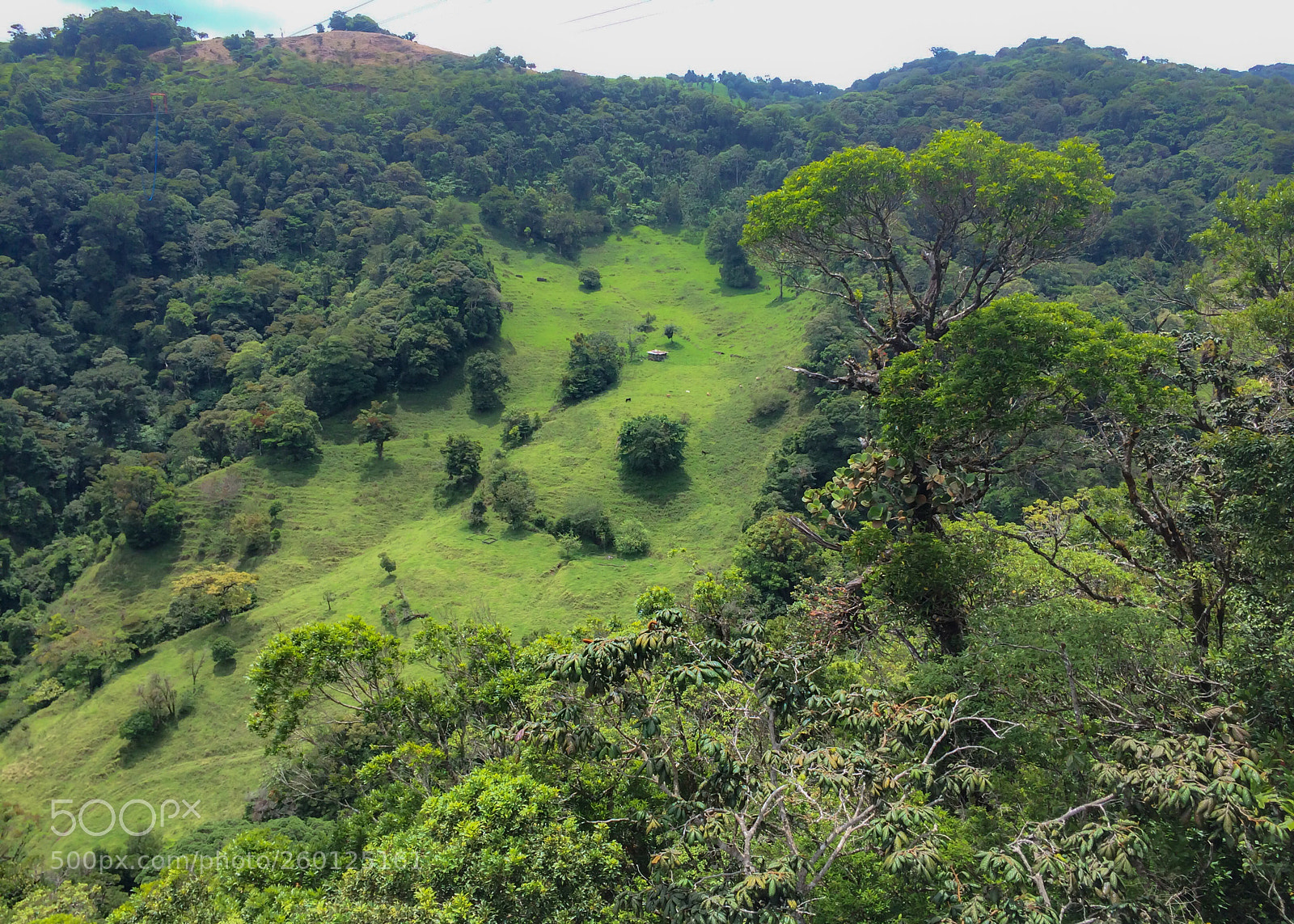 Apple iPhone 5s sample photo. Monteverde photography