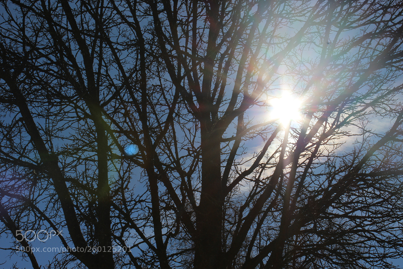 Canon EOS 1200D (EOS Rebel T5 / EOS Kiss X70 / EOS Hi) sample photo. Peeking light photography