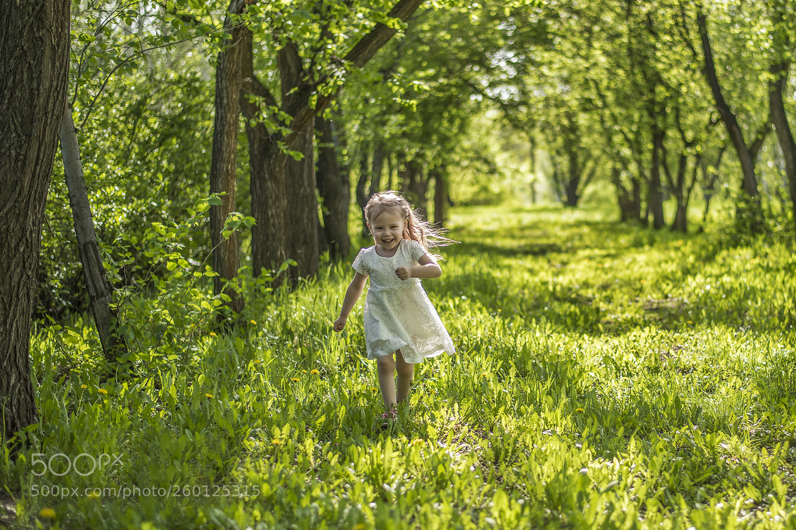 Nikon D810 sample photo. Untitled photography