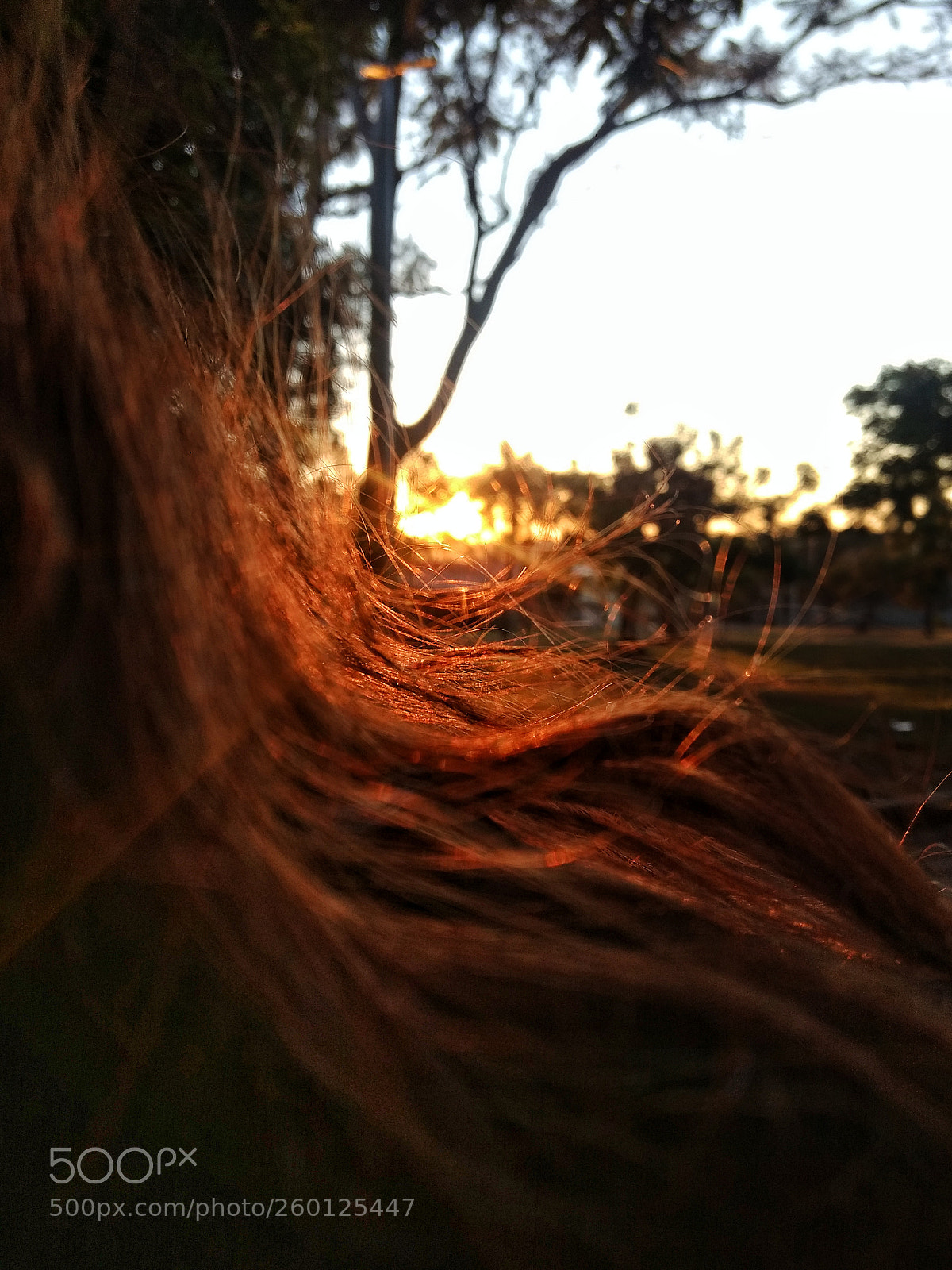 Motorola Moto G (4) sample photo. Untitled photography