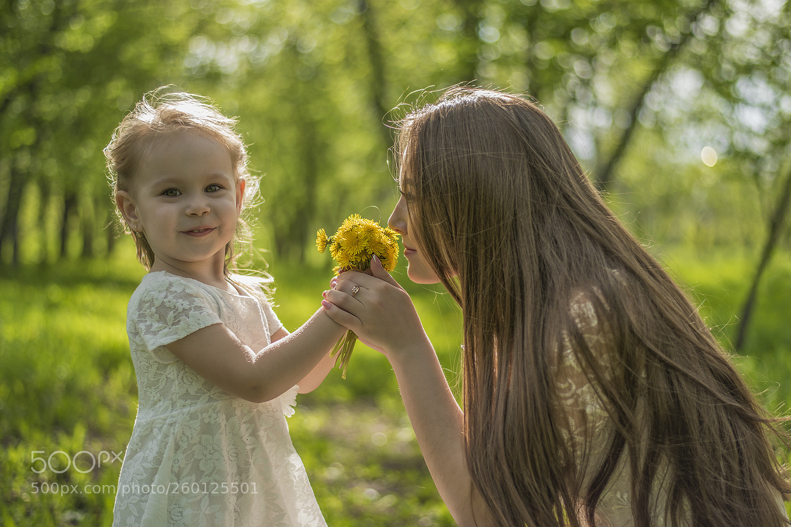 Nikon D810 sample photo. Untitled photography