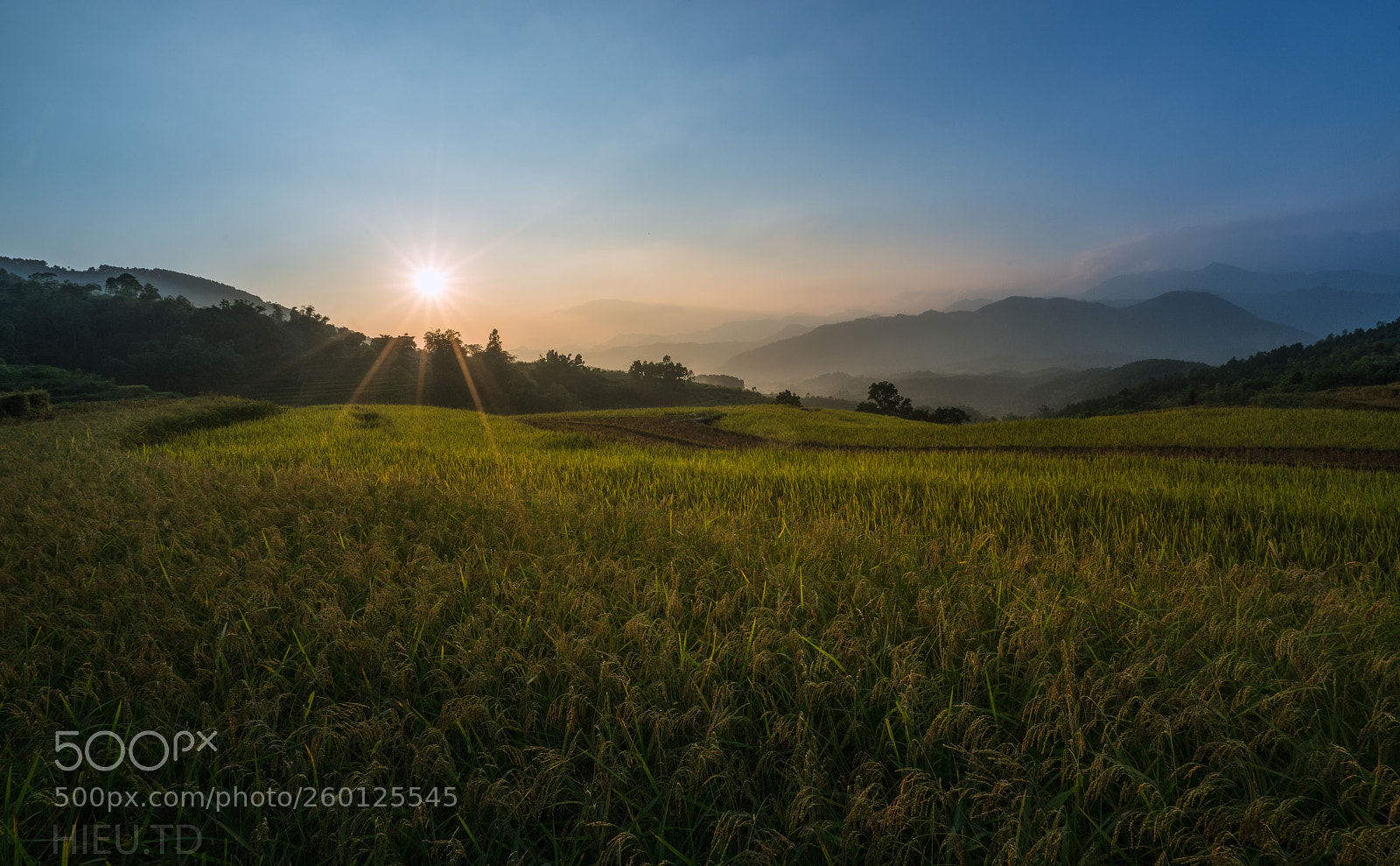 Sony a7R II sample photo. B nh li u photography