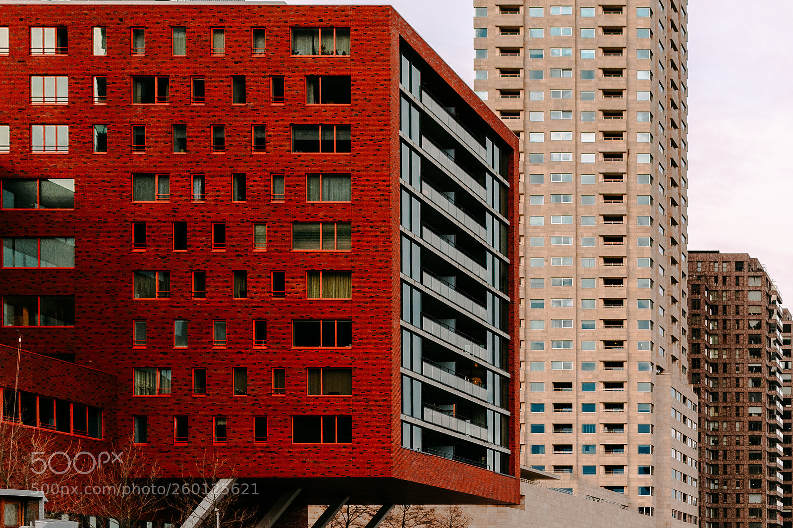 Nikon D5300 sample photo. The red lines. photography