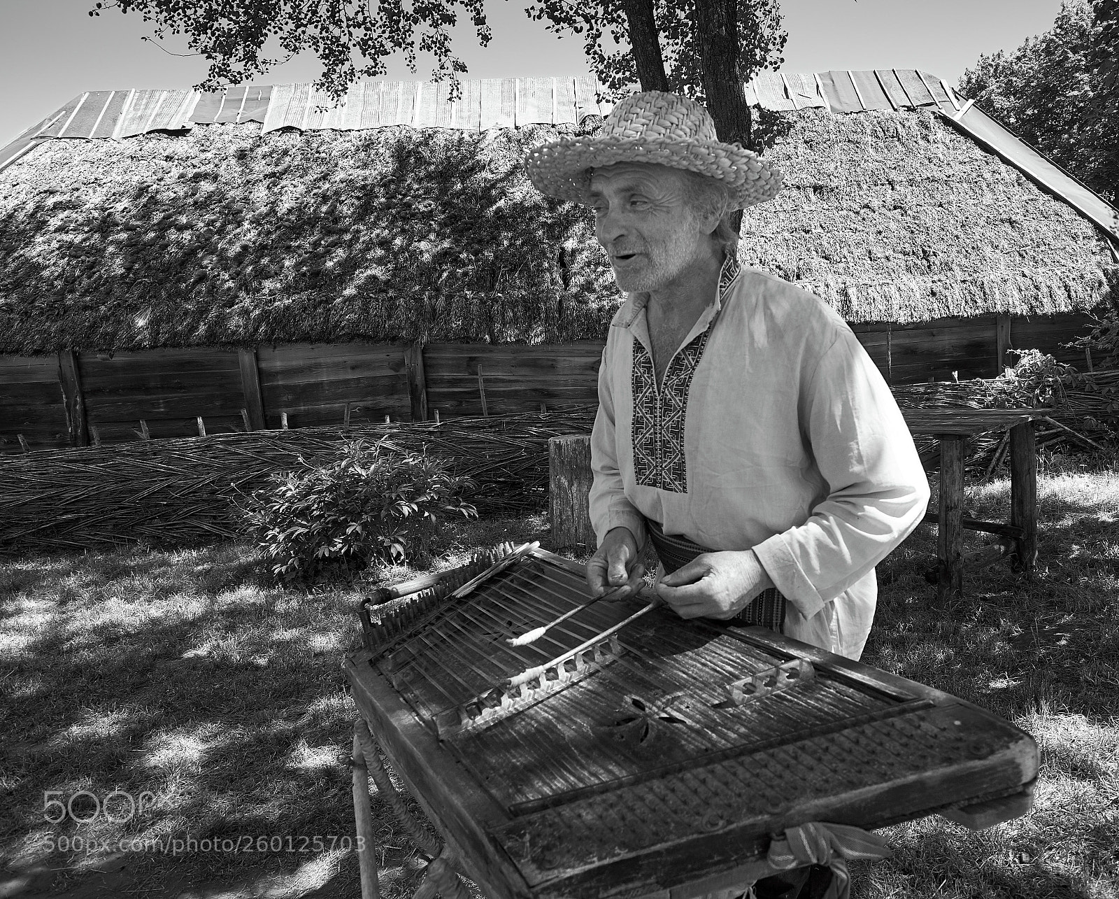Nikon D7100 sample photo. Folk musician photography