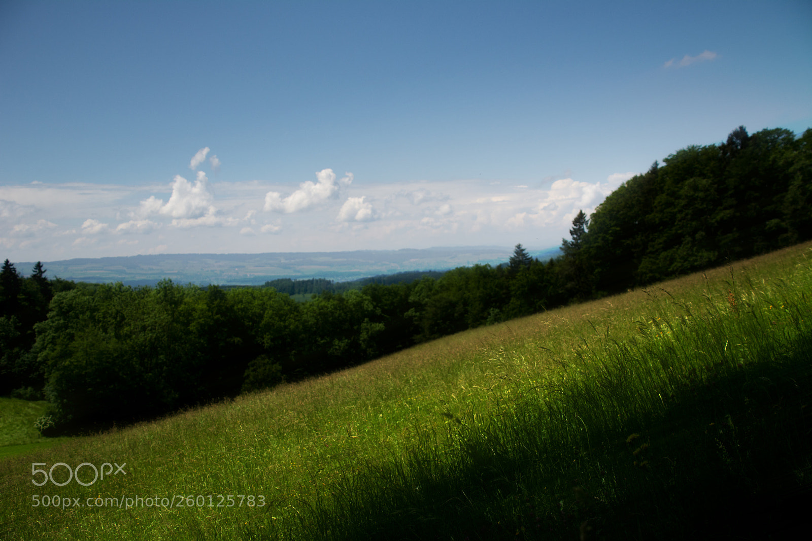 Nikon D7100 sample photo. Buchenegg photography
