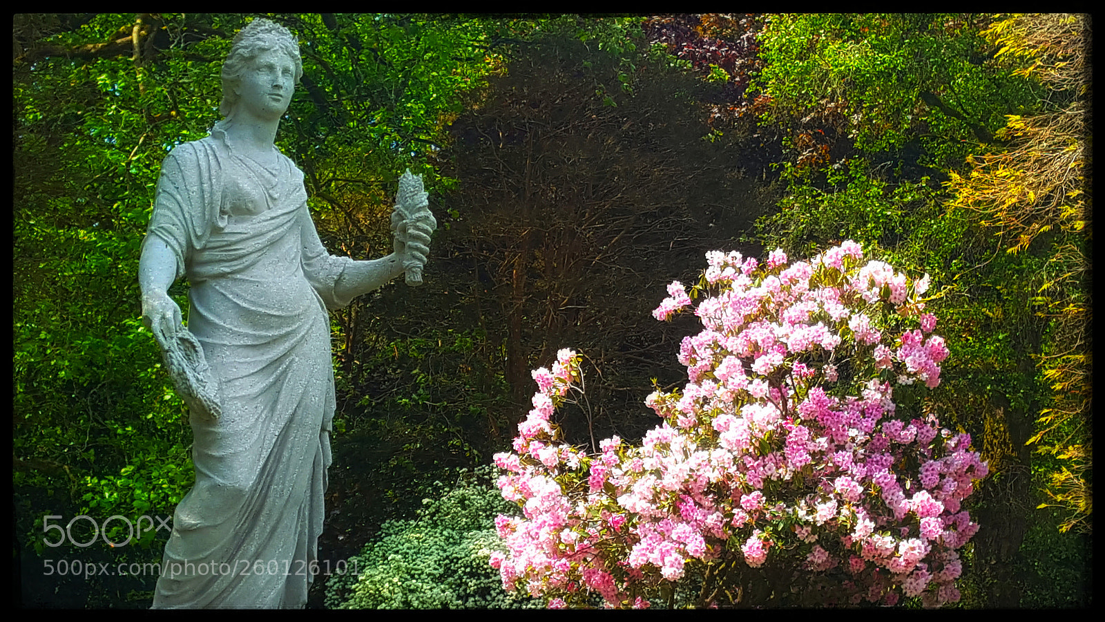 Samsung Galaxy S6 sample photo. Johnstown castle grounds photography